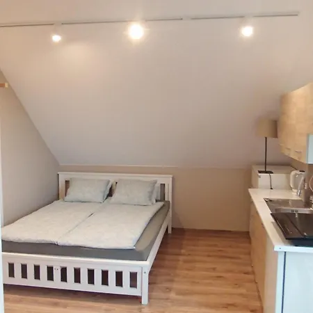 Гостьовий будинок Blisko Energylandii 3*